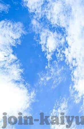 手机即时足球比分-手机即时足球比分，科技赋能，让球迷的激情永不掉线