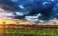 完整500足球比分-探秘完整500足球比分，数据背后的足球世界与价值挖掘