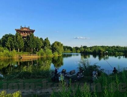 微信青龙大厅炸金花-微信青龙大厅炸金花，线上娱乐的新风潮